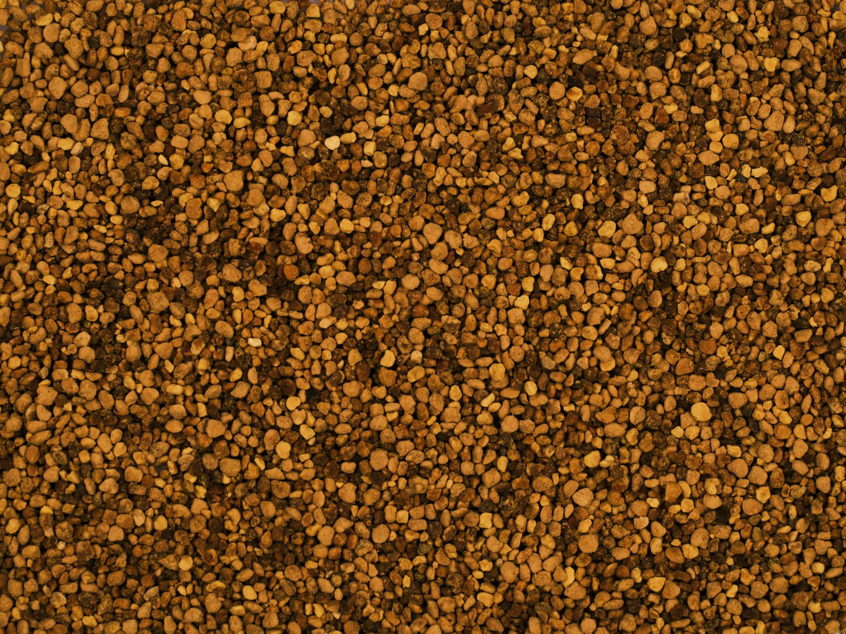 Close-up overhead view of golden-amber bee pollen granules filling the frame, dried pellets in soft natural light
