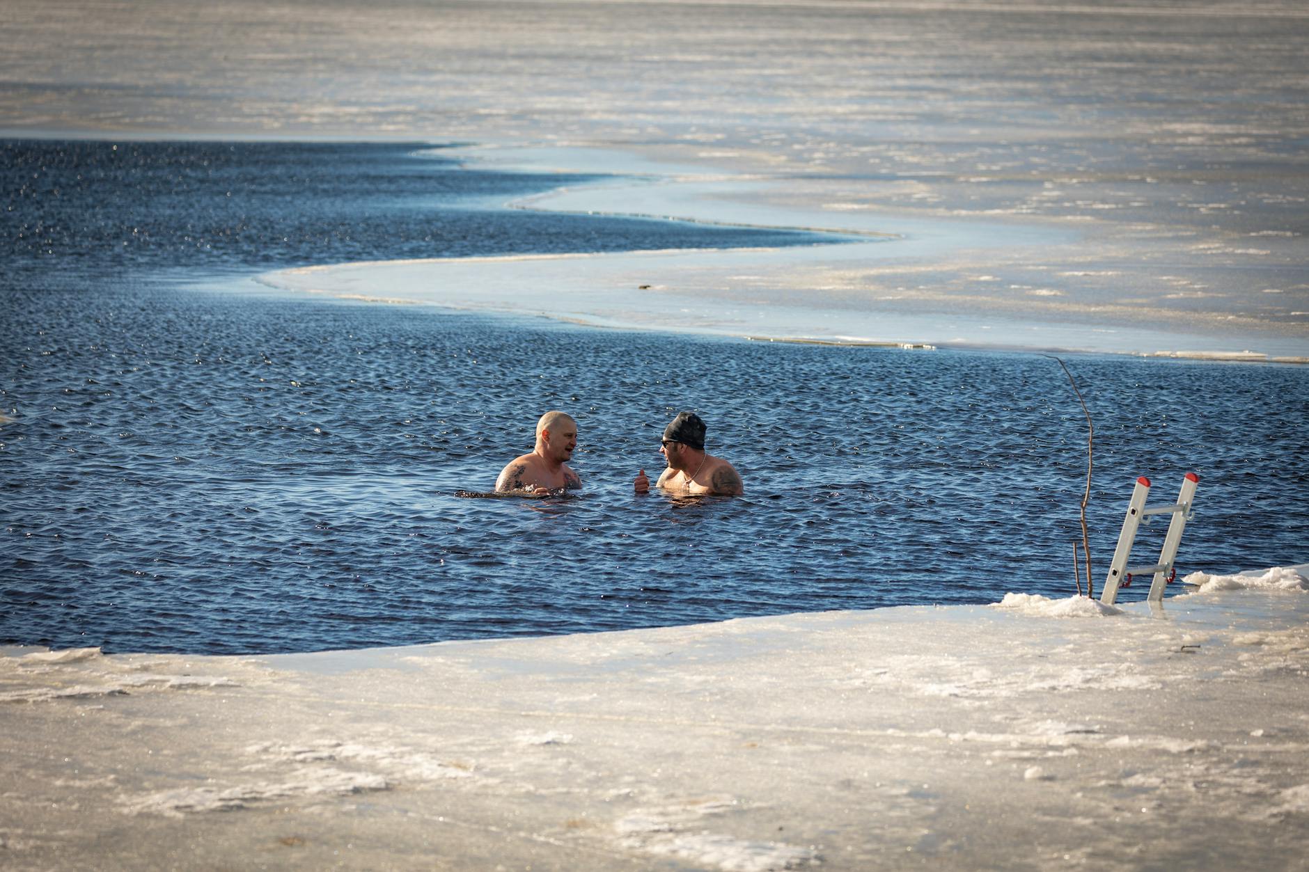 Cold water immersion — cellular effects of cold plunge on heat shock proteins, autophagy, and recovery