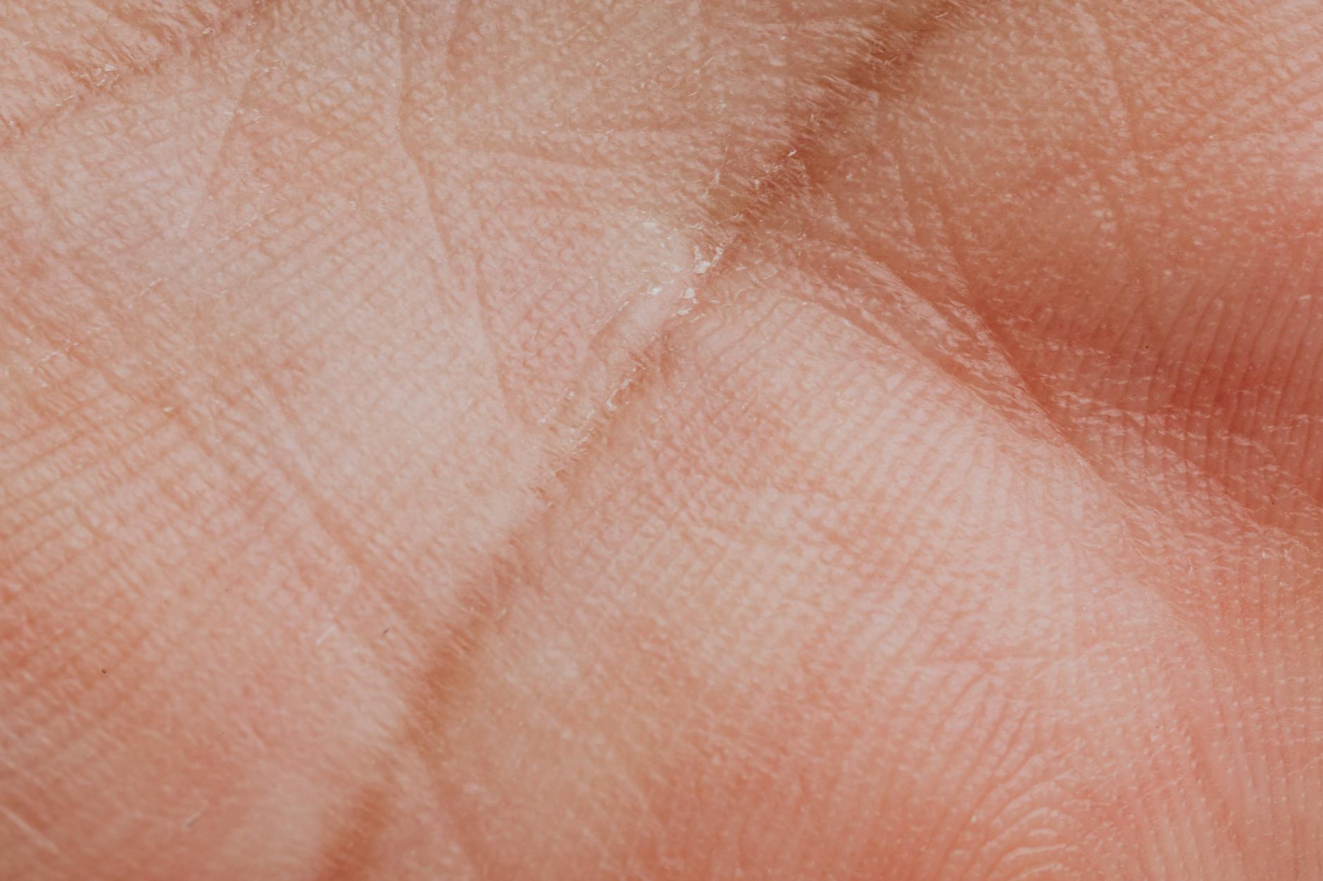 Close-up of skin texture and dermal layer — the substrate oral collagen peptides ultimately act on via Pro-Hyp and Gly-Pro-Hyp signaling