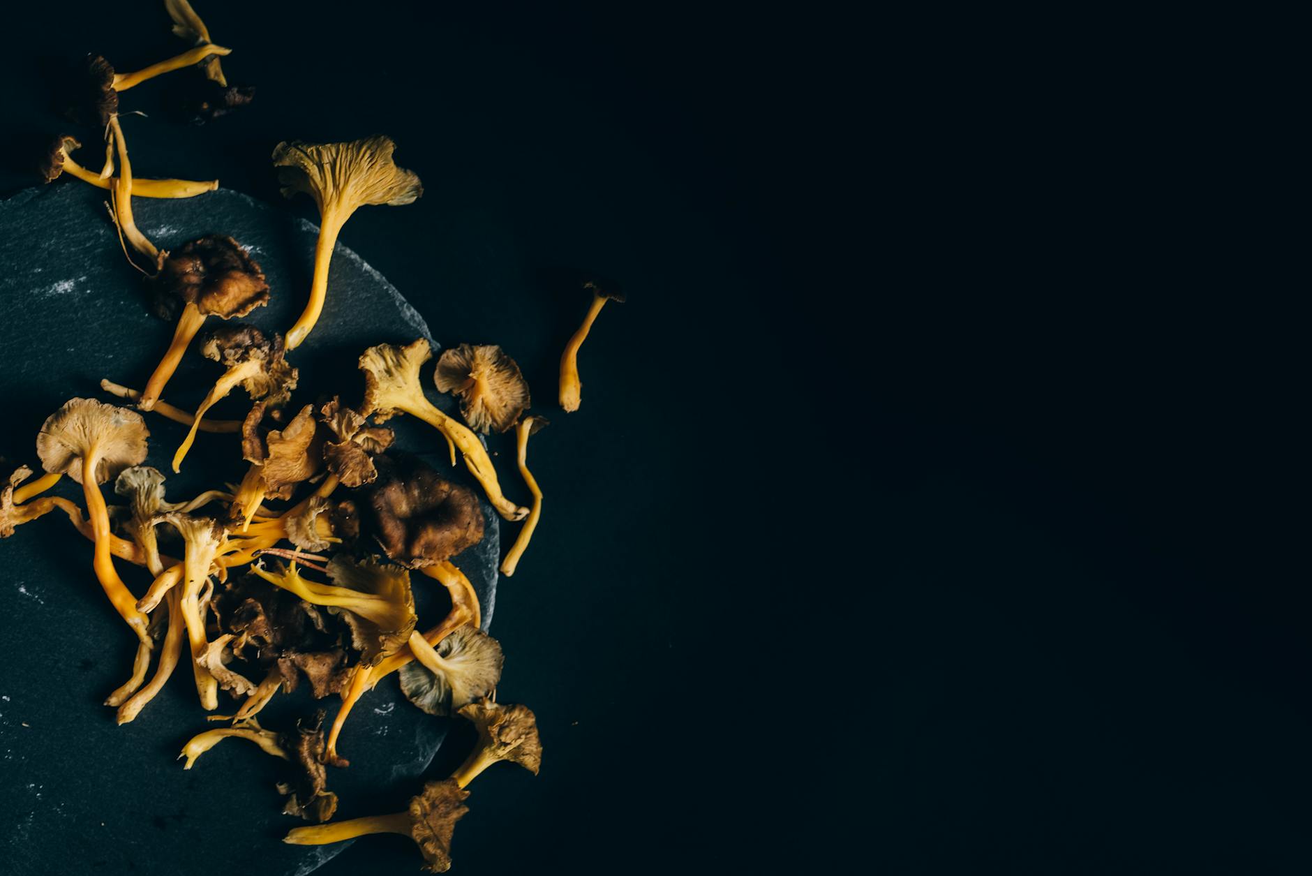 Dried orange-gold mushrooms scattered on a dark slate surface, editorial functional-mushroom supplement composition