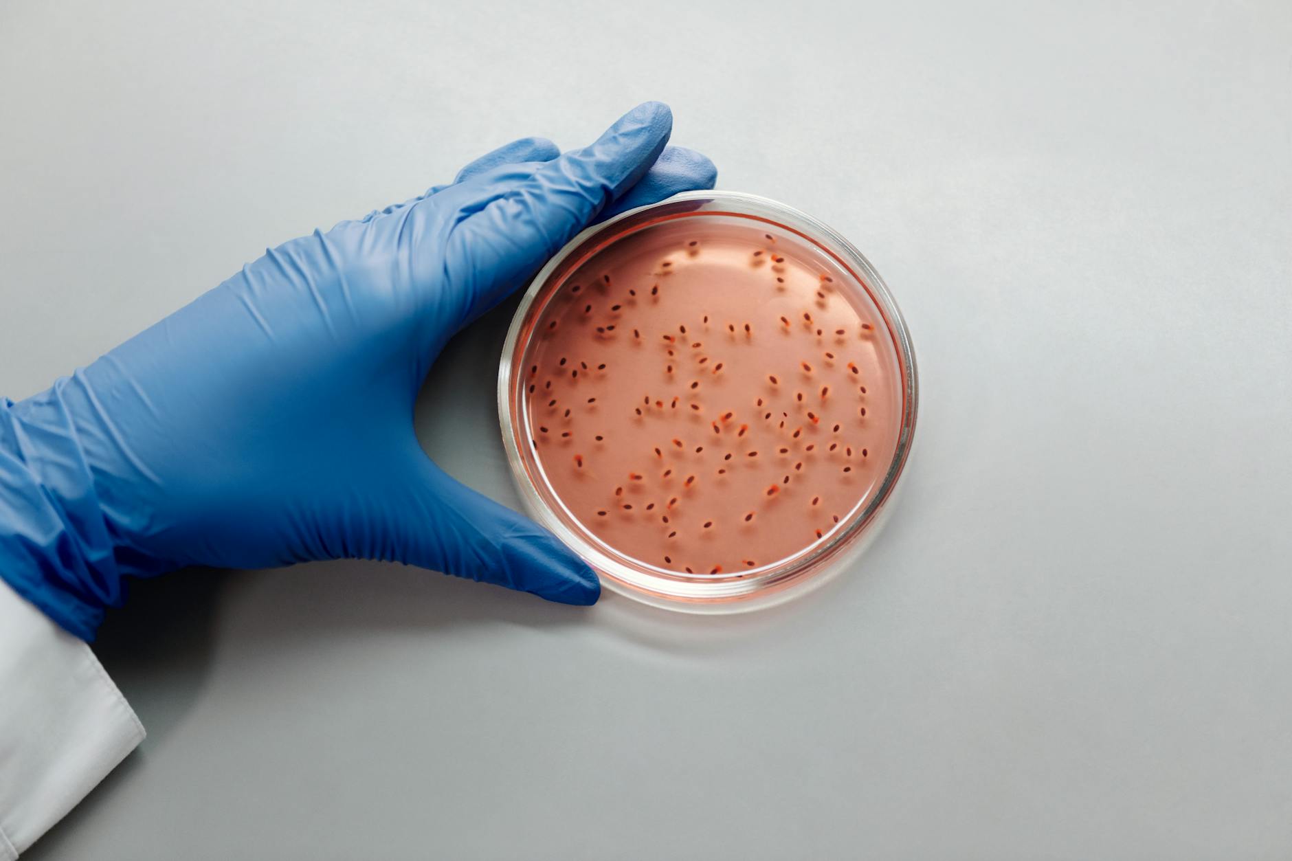 Gut microbiome and GLP-1 drug interaction concept — pharmacomicrobiomics research 2026