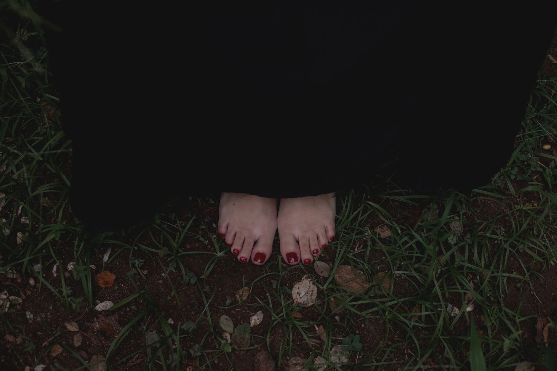Bare feet standing on green grass and earth outdoors in soft natural light, the central image of grounding and earthing practice