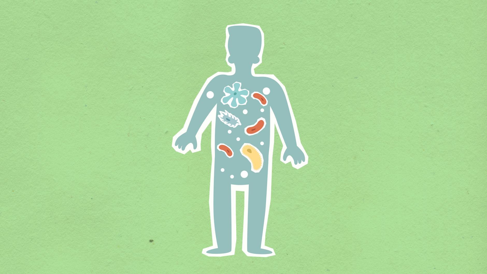 Colorful gut bacteria illustration