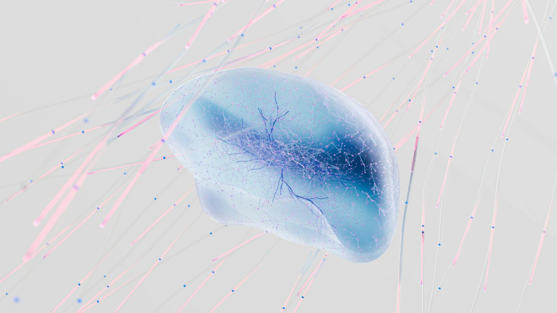 Neuroscience brain research laboratory — microdose lithium Alzheimer's neuroprotection study