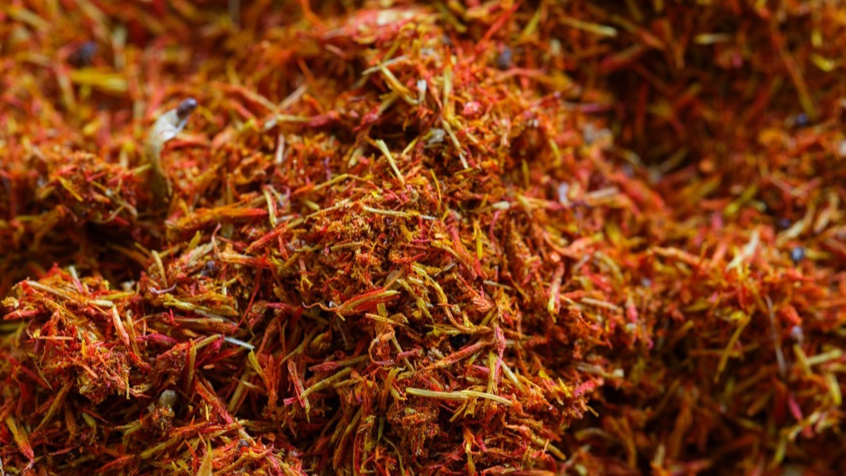 A small mound of deep-red dried saffron threads on a neutral surface in natural light — Crocus sativus stigmas are the part of the plant studied for depression and mood