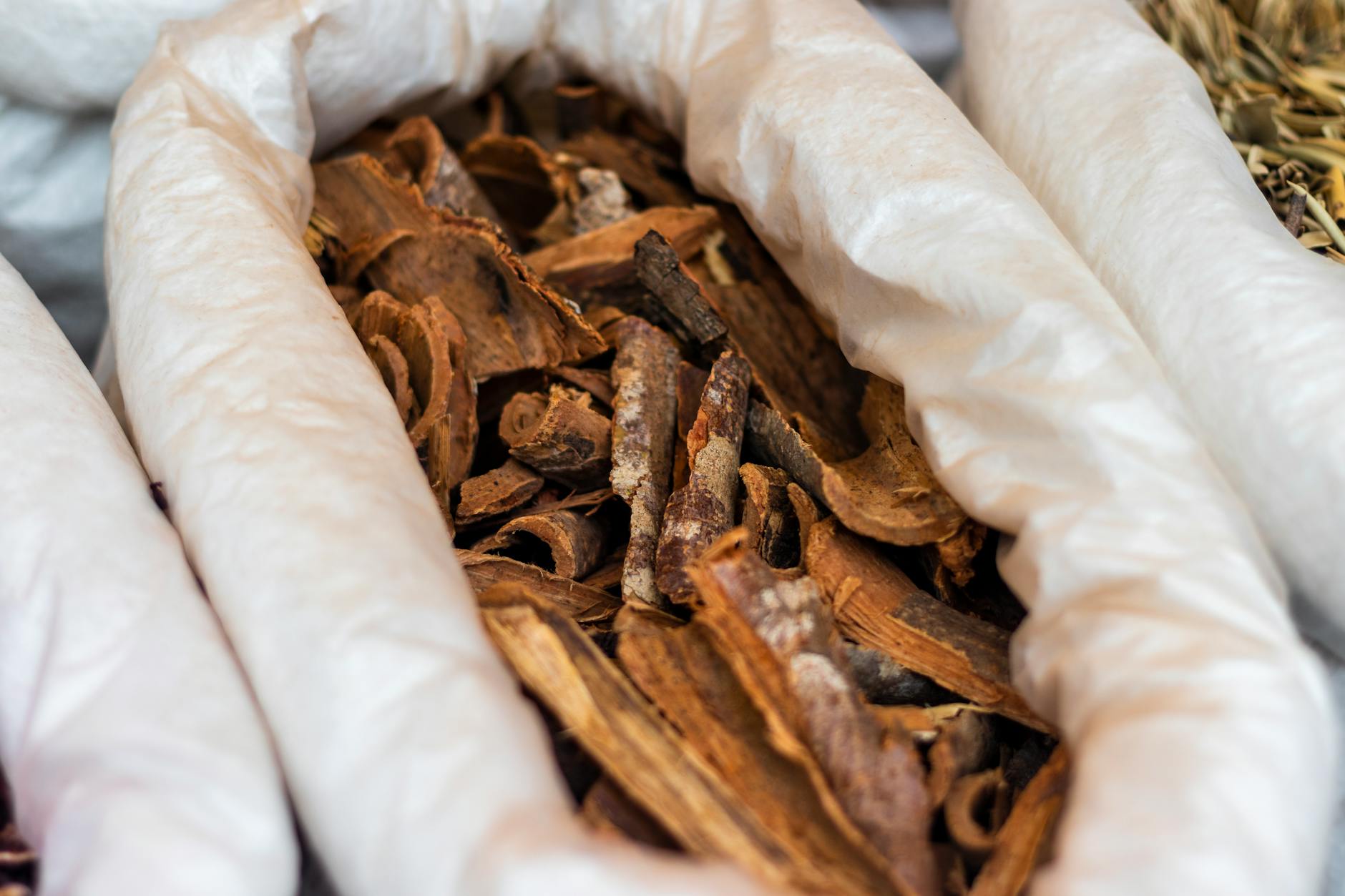 Dried tongkat ali (Eurycoma longifolia) root pieces in traditional herbal apothecary preparation
