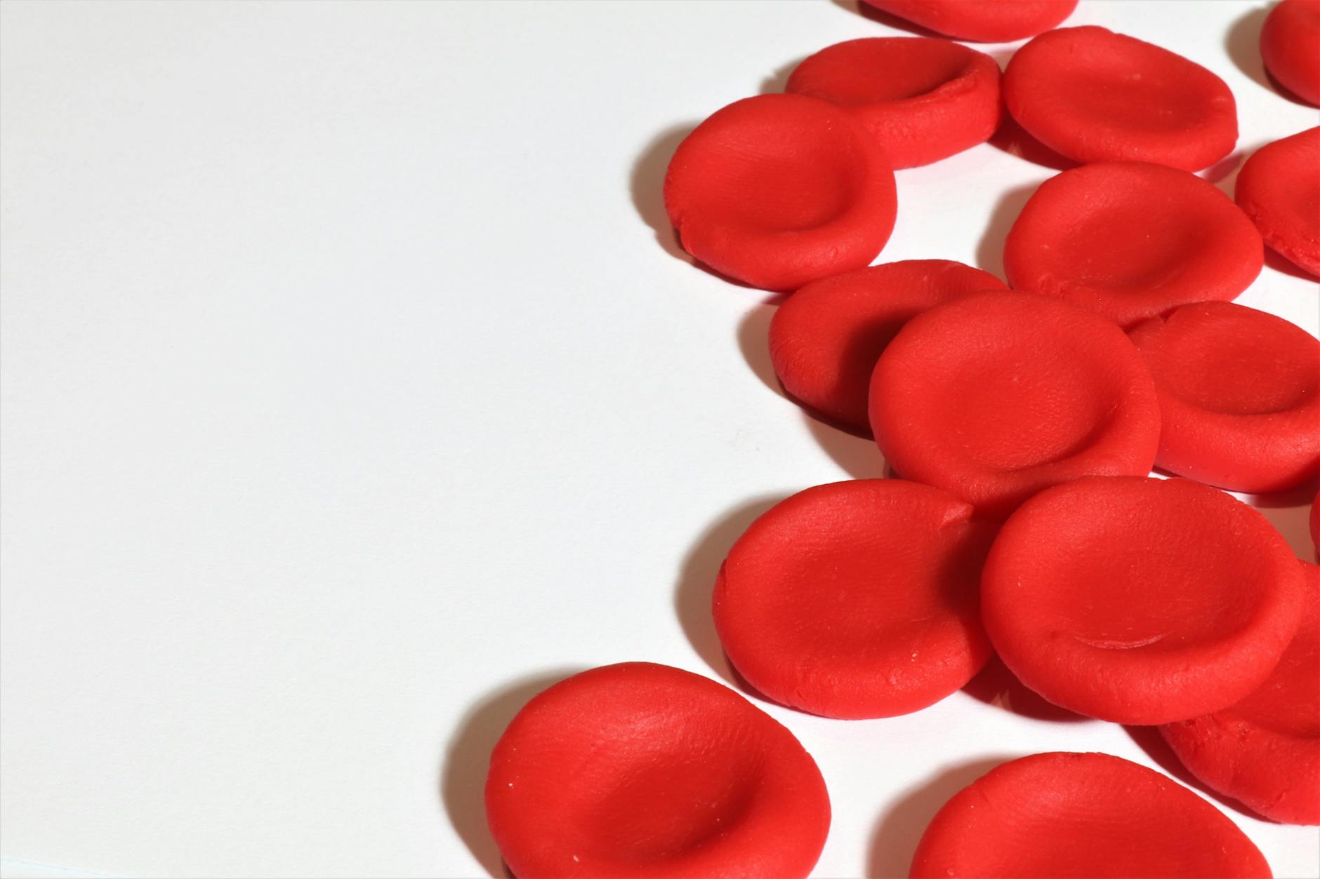 Cluster of red blood cell models on a clean white background — vascular biology and circulation context